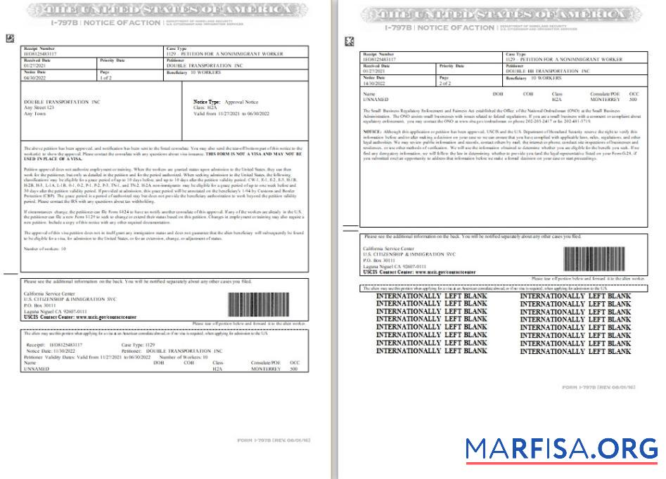 Realistic USA Notice of Action Form I 797B download for verification